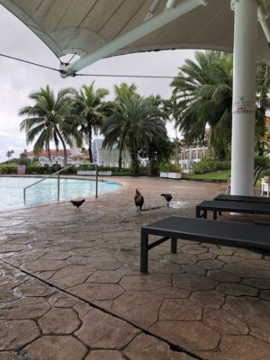 レオパレスリゾートグアム　ホテル　プール