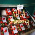 イチゴが食べたい！ クラ・カントリー・ファーム (Kula Country Farms) へGO!【2018/ハワイvol.12】